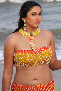 Namitha Sexy Navel Picture