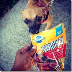 Stackerz1