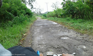 jalan menuju pantai kiluan lampung