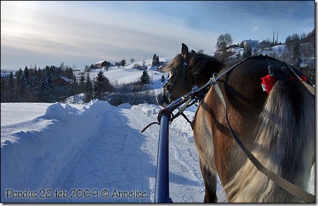 2009-28feb-pondus_01