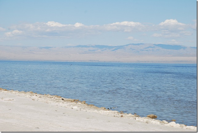 02-08-10 D Salton City Salton Sea 010