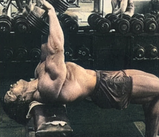 Arnold Schwarzenegger Straight-Arm Pullovers
