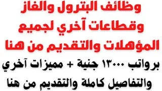 وظائف شركات البترول بمصر