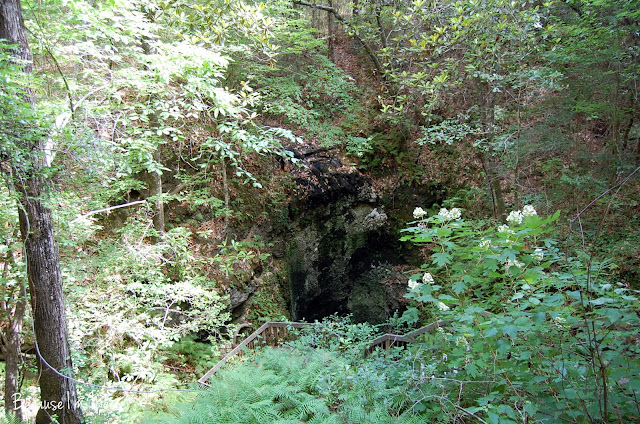 Falling Waters State Park, Florida