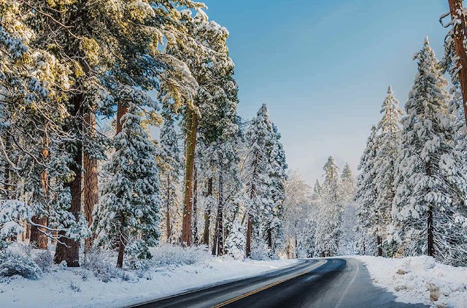 5 Interesting Places When Visit To California in winter