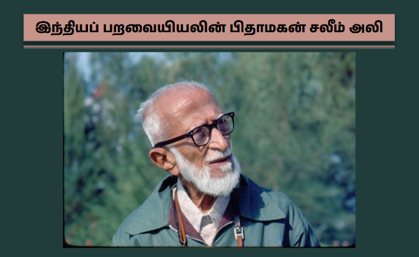 இந்தியப் பறவையியலின் பிதாமகன்: சலீம் அலி (Dr. Sálim Moizuddin Abdul Ali)