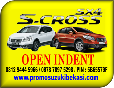 SX4 S CROSS OPEN INDENT