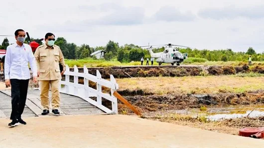 Proyek Food Estate di Kalteng: Prabowo Tanam Singkong, SYL Garap Padi