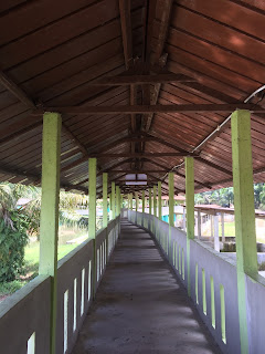 Taman Buaya Teluk Sengat Merupakan Taman Terbesar Buaya di Semenanjung Malaysia