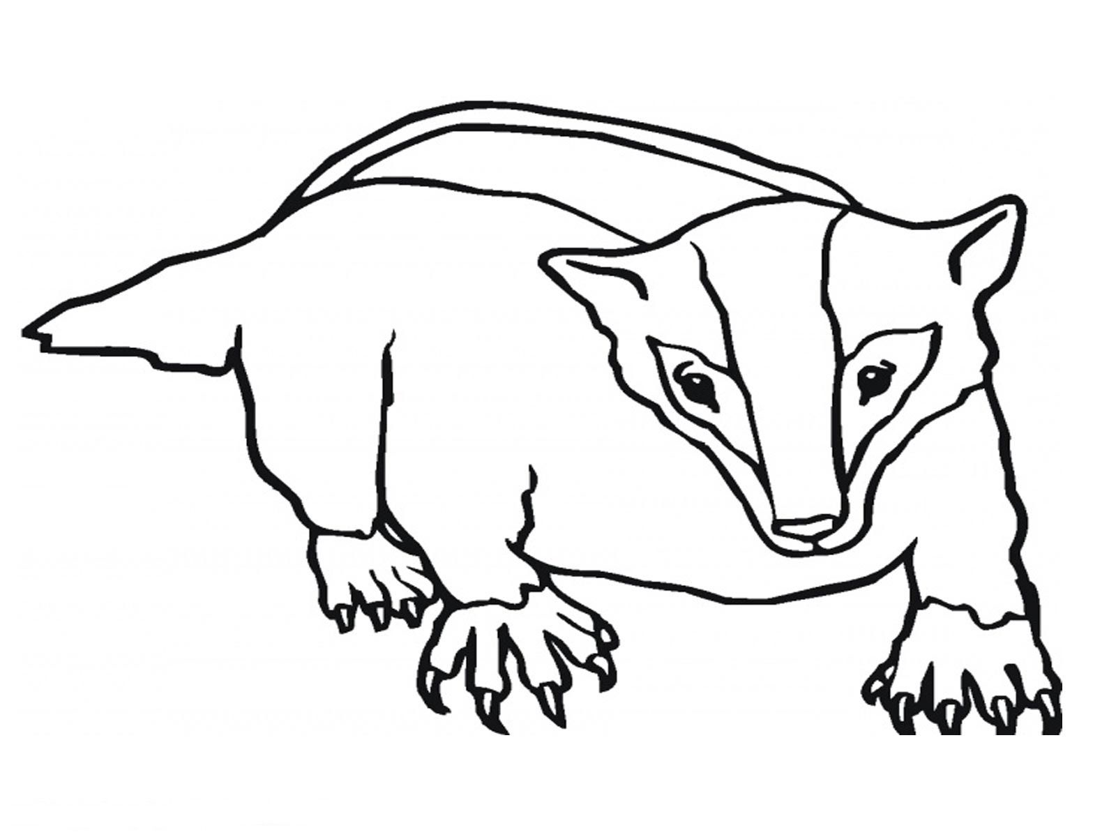 animals coloring page