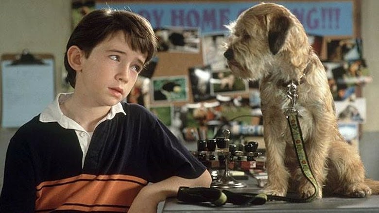 Cani dell'altro mondo! 2003 film online gratis