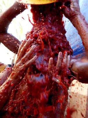 Tomato Fight In Bunol Spain Seen On www.coolpicturegallery.net