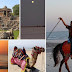 Gujarat Tourism - Gujarat Travel Guide