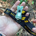 Lanterna Ultra Light Armytek Zippy Green - Leve, Potente e Compacta