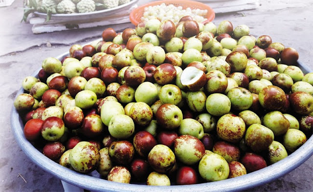 Trái cây Trung Quốc, Trái cây tiểu ngạch, Trái cây xách tay, Táo mèo, Hồng táo, đại táo, táo bản địa, thần dược thuốc bắc, táo tàu tươi, Táo tàu Trung Quốc, táo tàu Hàn Quốc, Táo tàu Thái Lan