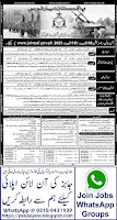 www joinpaf gov pk 2023 | PAF Jobs 2023 Online Apply