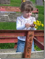 Iowa City 2009 052