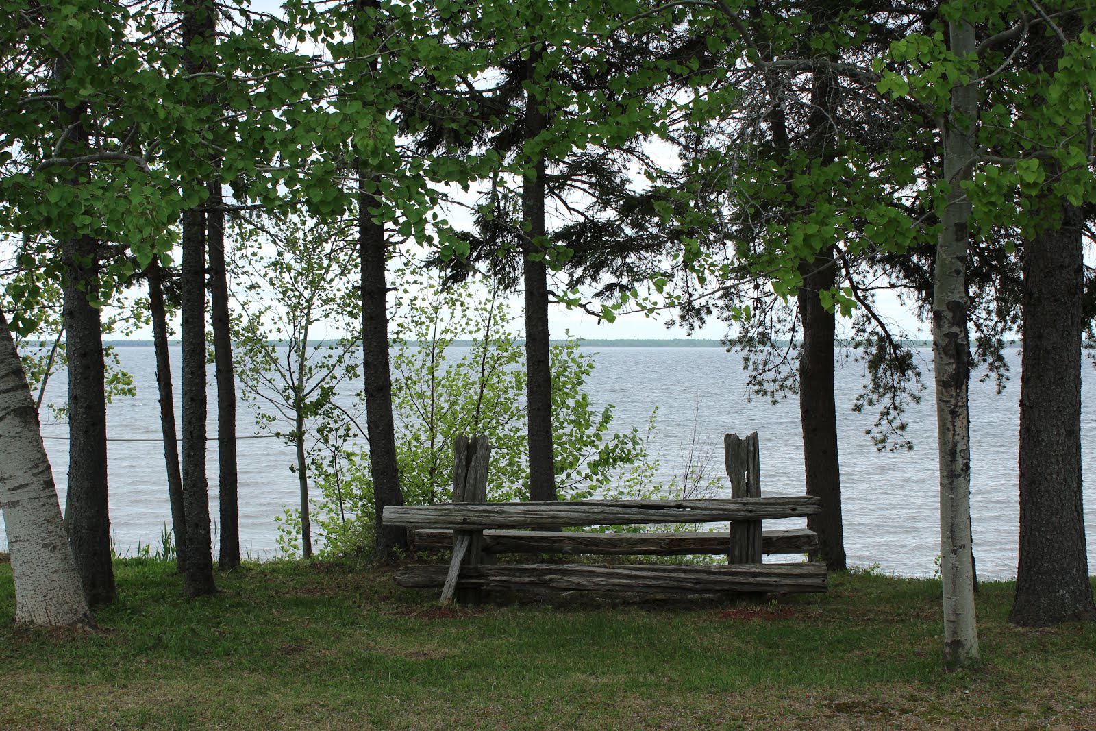 Bench by the water