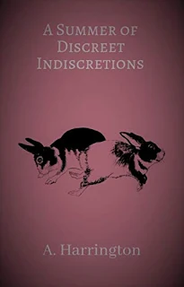 A Summer of Discreet Indiscretions - erotica book promotion sites A. Harrington