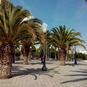 paseo de las palmeras tarragona