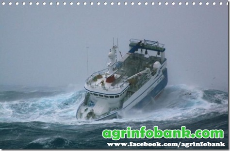 New fishing season begins amid fears of rough sea