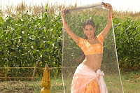 Sonal Chauhan Pics from Rainbow Movie,Sonal Chauhan