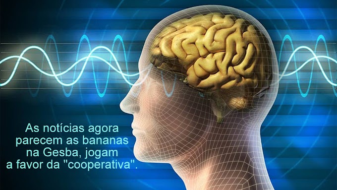 Madeira: o apagão da notícia e da crítica