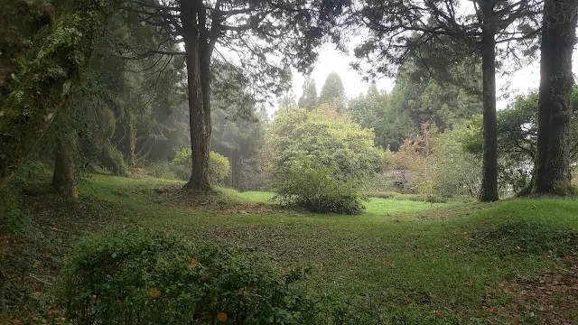 阿里山國家森林遊樂區 - 小笠原山觀景台
