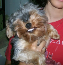 Mascote! ♥