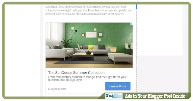 Ads in Your Blogger Post Inside Step by Step Tutorial