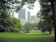 Central Park is a public park in the center of Manhattan (central park)