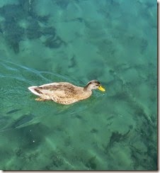 IMG_0573