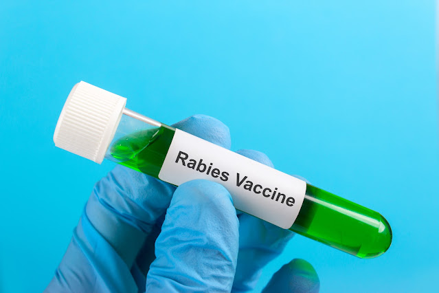 rabies vaccination Northolt