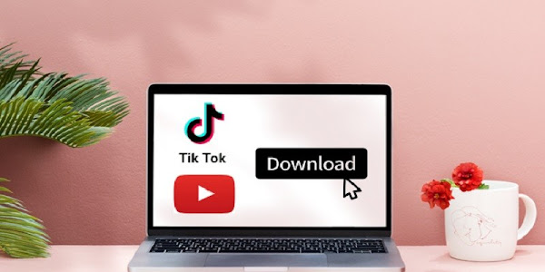 Tool Download All Video Tiktok Channel - No Watermark
