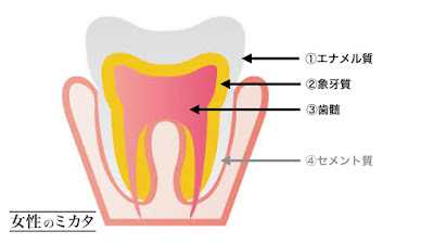 歯の内部の黄ばみ