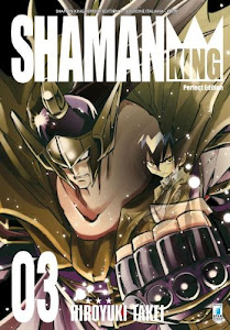 Shaman King. Perfect edition: 3