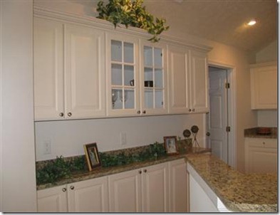 condo.kitchen
