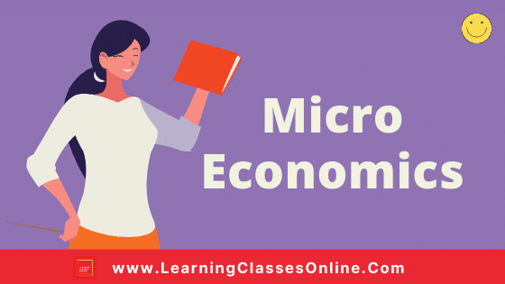 Microeconomics Lesson Plan In Hindi For B.Ed/D.El.Ed | व्यष्टि अर्थशास्त्र पाठ योजना | Micro Economics Path Yojna Arthashastra