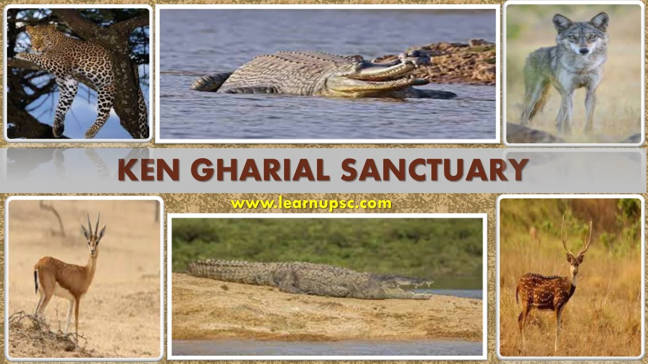 Ken Gharial Sanctuary