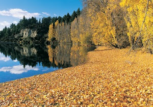 WANAKA