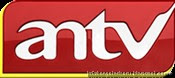 ANTV Online Streaming | Live di Internet