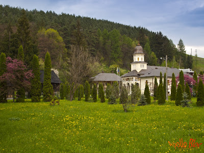 Manastirea Sfantul Ilie - Toplita