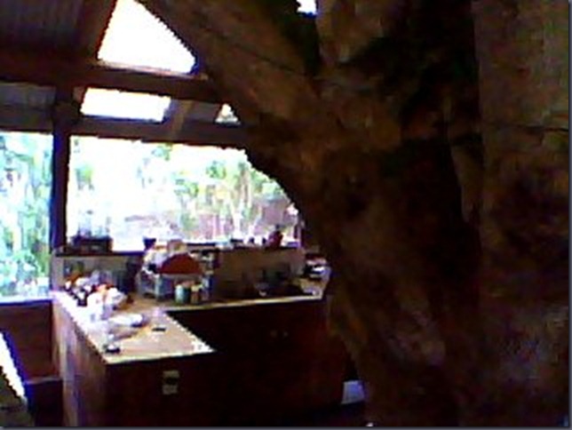 Snapshot_20100906_5