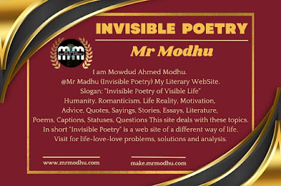 MR MODHU Invisible Poetry