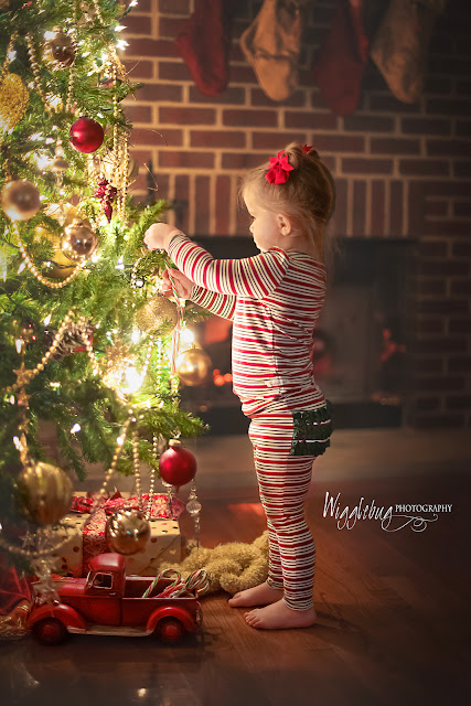 Christmas mini Sessions DeKalb Sycamore Rockford IL