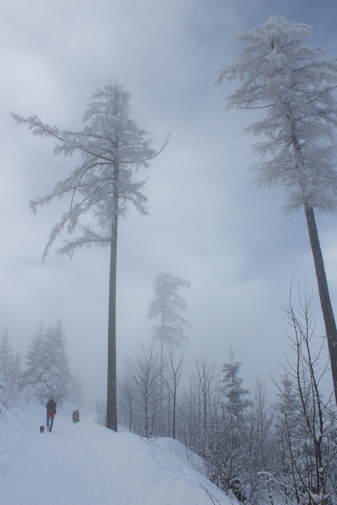 сняг, зима, снежна планина, зимен пейзаж, снежен пейзаж