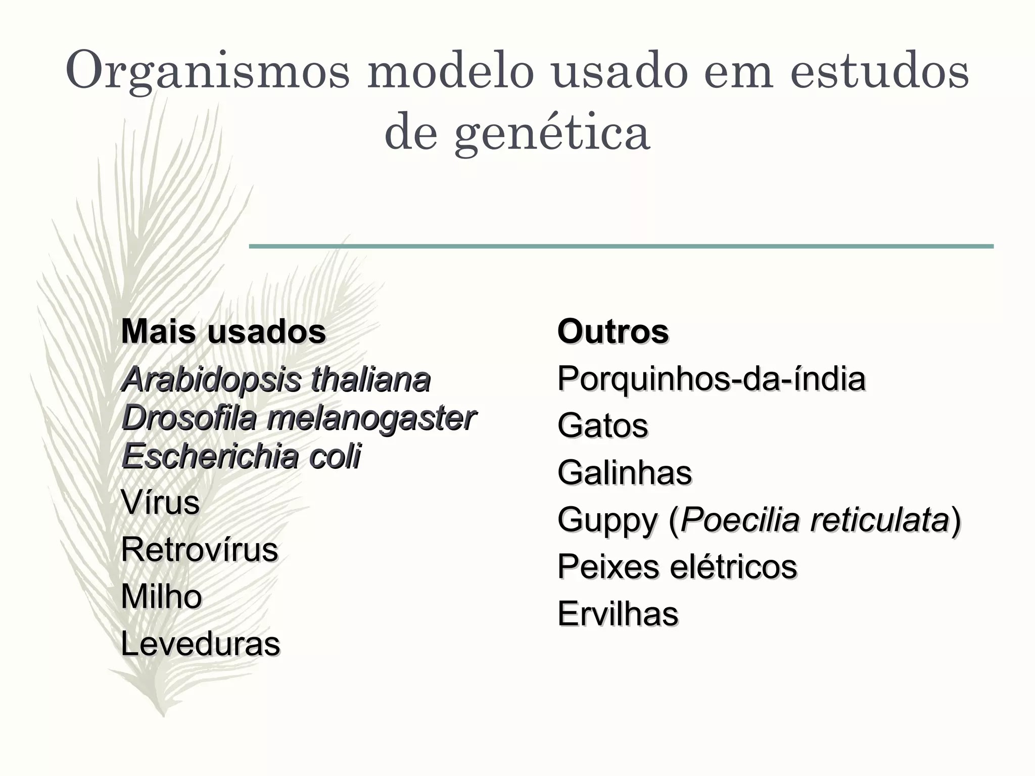 Introdução a genética