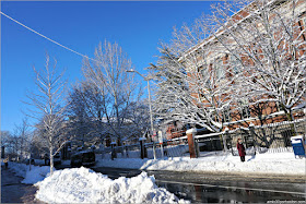 Universidad de Harvard después de la Tormenta Skylar 