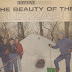 The Beauty of the Blizzard of 1996