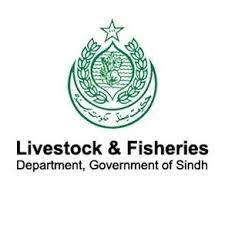Livestock & Fisheries Department Nawabshah Jobs 2023